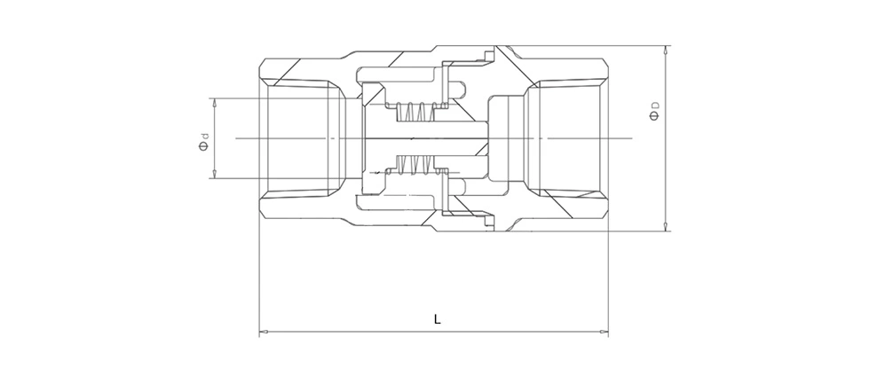 Stainless Steel Spring Vertical Check Valve